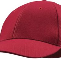 226467_218471961496782_960677_n 226467_218471961496782_960677_n